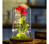 La belle et la Bête Enchanted Rose Light, Rose en Soie et lumière LED en dôme en Verre sur Une Base en Bois, Beauty and The Beast Rose Kit Cadeaux pour la Saint Valentin Rose G