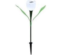 La lampe solaire de pelouse tulipe a mené la lumière jardin prise extérieure - blanc Blanc G