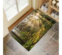 La Lumière Du Soleil Filtre À Travers Les Feuilles Paillasson d'Entrée, Paysages Naturels Tapis de Porte Antidérapant Lavable Machine, Vert Sauge Tapis Absorbant pour Entrée Porte Couloir - 40 x 60 cm