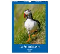 La Scandinavie et ses oiseaux (Calendrier mural 2027 DIN A3 horizontal), CALVENDO calendrier mensuel: A la découverte de la faune scandinave