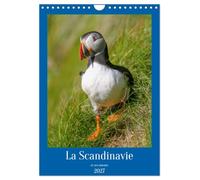La Scandinavie et ses oiseaux (Calendrier mural 2027 DIN A4 horizontal), CALVENDO calendrier mensuel: A la découverte de la faune scandinave