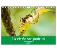 La vie de nos prairies - Le monde des fourmis (Calendrier mural 2027 DIN A4 vertical), CALVENDO calendrier mensuel: Voici un petit regard sur la vie fascinante des fourmis