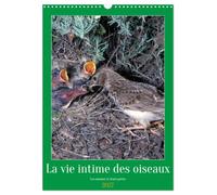 La vie intime des oiseaux Les oiseaux et leurs petits (Calendrier mural 2027 DIN A3 horizontal), CALVENDO calendrier mensuel: Rencontre avec les oiseaux de nos contrées