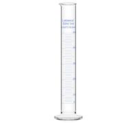 Labasics Cylindre Gradué en Verre Borosilicate de 50 ml, Cylindre de Mesure Robuste pour Utilisation en Laboratoire, 1 Pièce