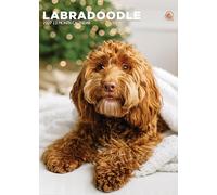 Labradoodle Dog Calendrier 2027, A3, en couleur, reliure spirale (CRU)