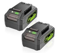LabTEC GW2430 Batterie pour Greenworks 24 V 4,0 Ah Li-ION Batterie de Rechange pour Greenworks 24 V Outils 29862 2938202 26111700 Chargeur Tondeuse à Gazon Souffleur Batterie 2 Packs