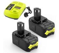 LabTEC RB18L50 Lot de 2 batteries Li-ion de rechange 18 V 5 Ah pour Ryobi One+, avec chargeur 12 V-18 V pour Ryobi P117, compatible avec les outils sans fil Ryobi One Plus pour tondeuse à gazon,