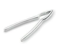 Lacor Pince casse-homard 62908 Acier inoxydable Argenté