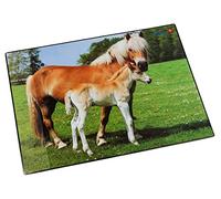 Sous-main cheval et poulain, 400 x 530 mm lâufer 46587.2
