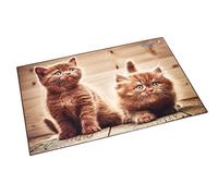 Läufer 46650 sous-main avec motif chatons curieux, 40x53 cm, sous-main antidérapant avec une poche de côté transparente