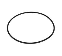 Lagostina Joint pour autocuiseur 90003010009 6,9 Ø 24 cm