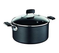 Lagostina Tempra Faitout 24 cm + couvercle, Revêtement antiadhésif résistant, Induction, Fabriqué en France 012073031224