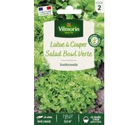 Vilmorin 3609742 Pack De Graines Laitue À Couper Salade Bol Vert Vert G