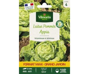 Laitue Pommée Appia - Grand Modèle - Vilmorin - Potagères | Laitue Pommée Appia | Format éco | Très grosse