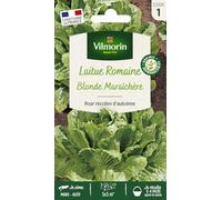 Laitue Romaine Blonde Maraîchère