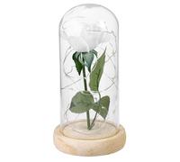 LALADEFIEE Rose Éternelle sous Cloche en Verre Lumière LED Blanche et Base en Bois, Décoration Romantique pour Maison et Fête d'anniversaire