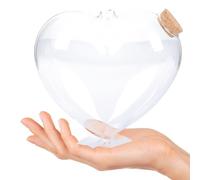 LALAFINA Bouteille en Verre de Cœur Transparente pour Décoration de Bureau et Maison, Contenant Petits Objets Design Paysager Élégant