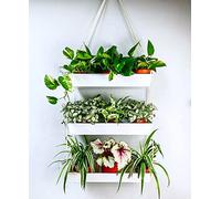 LáLáGreen Jardinière murale suspendue - 40,6 cm à trois niveaux pour plantes succulentes d'intérieur - Pot de fleurs moderne bohème en métal blanc - Support mural pour plantes décoratives verticales