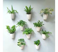LáLáGreen Lot de 10 Pots de Fleurs muraux pour Plantes d'intérieur - 12,7 cm - Pot en Plastique à arrosage Automatique - Système de Plantation écologique à Suspendre - Jardin Mural Tendance pour