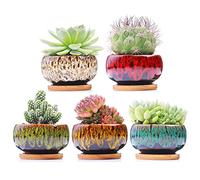 LamDawn Lot de 5 Pots de Fleurs Mignons en céramique avec Trou de Drainage et Soucoupe attachée, Plantes Non incluses (Rond)