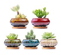 LAMDAWN Lot de 5 Pots de Fleurs Mignons en céramique avec Trou de Drainage et Soucoupe attachée, Plantes Non incluses (Couleur Flamme)