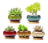 LAMDAWN Lot de 5 Pots Mignons en céramique pour Plantes Grasses - 9,4 cm - avec Drainage et Plateau en Bambou - Plantes Non incluses - Couleurs Vives