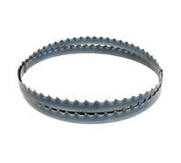 Lame a ruban pour bois 4015x35x1mm 2z pour scie a buches Holzmann bsb810smartb35
