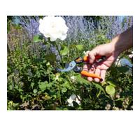 Lame de rechange pour sécateur de jardin