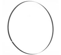 Lame de scie à ruban 1575x10x0,36 mm 6 ZpZ Holzmann Maschinen BSB230B10 N/A
