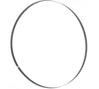 Lame de scie à ruban 1638M42 x1 3x0,65mm 10/14 ZpZ Holzmann Maschinen BS115128NIR_10/14