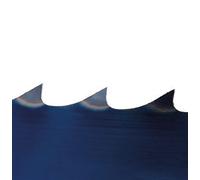 Lame de scie pour scies verticales HBS351-2 Holzstar 5160352