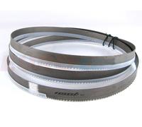 Lame scie ruban 6/10 Z/1 1735x13x0.9 mm FEMI NG160 ABS NG160 - 3289963"