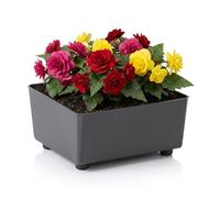 LAMELA Jardinière Carrée avec Pieds Élégants - Bac À Fleurs Anthracite en Plastique Robuste 28,5 x 28,5 cm, 7,5L - Résistant Aux Intempéries & Facile À Entretenir - pour Intérieur & Extérieur