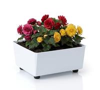 LAMELA Jardinière Carrée avec Pieds Élégants - Bac À Fleurs Blanc en Plastique Robuste 28,5 x 28,5 cm, 7,5L - Résistant Aux Intempéries & Facile À Entretenir - pour Intérieur & Extérieur