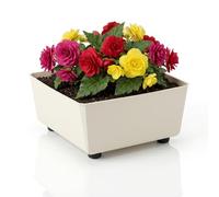 LAMELA Jardinière Carrée avec Pieds Élégants - Bac À Fleurs Crème en Plastique Robuste 28,5 x 28,5 cm, 7,5L - Résistant Aux Intempéries & Facile À Entretenir - pour Intérieur & Extérieur