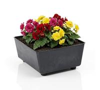 LAMELA Jardinière Carrée avec Pieds Élégants - Bac À Fleurs Noir Aspect Béton en Plastique Robuste 28,5 x 28,5 cm, 7,5L - Résistant Aux Intempéries & Facile À Entretenir - pour Intérieur & Extérieur