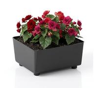 LAMELA Jardinière Carrée avec Pieds Élégants - Bac À Fleurs Noir en Plastique Robuste 28,5 x 28,5 cm, 7,5L - Résistant Aux Intempéries & Facile À Entretenir - pour Intérieur & Extérieur