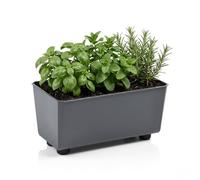 LAMELA Jardinière Rectangulaire avec Pieds Élégants - Bac À Fleurs Anthracite en Plastique Robuste 28,5 x 17 cm, 4,2L - Résistant Aux Intempéries & Facile À Entretenir - pour Intérieur & Extérieur