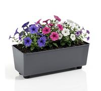 LAMELA Jardinière Rectangulaire avec Pieds Élégants - Bac À Fleurs Anthracite en Plastique Robuste 37 x 17 cm, 6L - Résistant Aux Intempéries & Facile À Entretenir - pour Intérieur & Extérieur