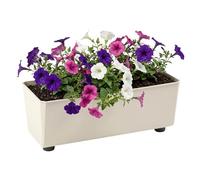 LAMELA Jardinière Rectangulaire avec Pieds Élégants - Bac À Fleurs Beige en Plastique Robuste 37 x 17 cm, 6L - Résistant Aux Intempéries & Facile À Entretenir - pour Intérieur & Extérieur