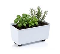LAMELA Jardinière Rectangulaire avec Pieds Élégants - Bac À Fleurs Blanc en Plastique Robuste 28,5 x 17 cm, 4,2L - Résistant Aux Intempéries & Facile À Entretenir - pour Intérieur & Extérieur