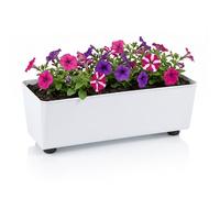 LAMELA Jardinière Rectangulaire avec Pieds Élégants - Bac À Fleurs Blanc en Plastique Robuste 37 x 17 cm, 6L - Résistant Aux Intempéries & Facile À Entretenir - pour Intérieur & Extérieur