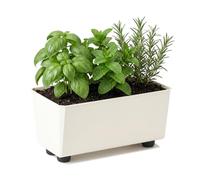 LAMELA Jardinière Rectangulaire avec Pieds Élégants - Bac À Fleurs Crème en Plastique Robuste 28,5 x 17 cm, 4,2L - Résistant Aux Intempéries & Facile À Entretenir - pour Intérieur & Extérieur