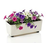 LAMELA Jardinière Rectangulaire avec Pieds Élégants - Bac À Fleurs Crème en Plastique Robuste 37 x 17 cm, 6L - Résistant Aux Intempéries & Facile À Entretenir - pour Intérieur & Extérieur