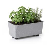 LAMELA Jardinière Rectangulaire avec Pieds Élégants - Bac À Fleurs Gris Aspect Béton en Plastique Robuste 28,5 x 17 cm, 4,2L - Résistant Aux Intempéries & Facile À Entretenir