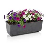 LAMELA Jardinière Rectangulaire avec Pieds Élégants - Bac À Fleurs Noir Aspect Béton en Plastique Robuste 37 x 17 cm, 6L - Résistant Aux Intempéries & Facile À Entretenir - pour Intérieur & Extérieur