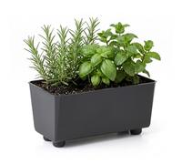 LAMELA Jardinière Rectangulaire avec Pieds Élégants - Bac À Fleurs Noir en Plastique Robuste 28,5 x 17 cm, 4,2L - Résistant Aux Intempéries & Facile À Entretenir - pour Intérieur & Extérieur