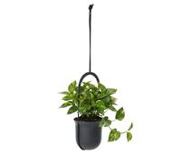 Lamela Plastique Pot Suspendu Hauteur réglable, Ø 18 cm, 2,3 L - Anthracite | Léger, cordon ajustable, montage mural ou plafond, résistant UV, met les plantes en valeur