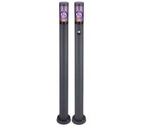 Lampadaire avec détecteur de mouvement, lampe d'extérieur, lampadaire, acier inoxydable, anthracite, fumée, contrôle par application, 1x Smart RGB LED 10W 806Lm, DxH 12,7x110cm, lot de 2