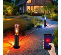 Lampadaire D'extérieur Intelligent LED Dimmer Google Alexa RGB Ensemble De 2